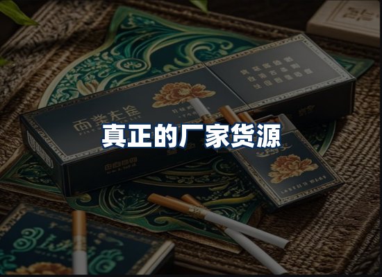 专业团队办公环境